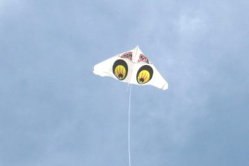 ゲイラカイト