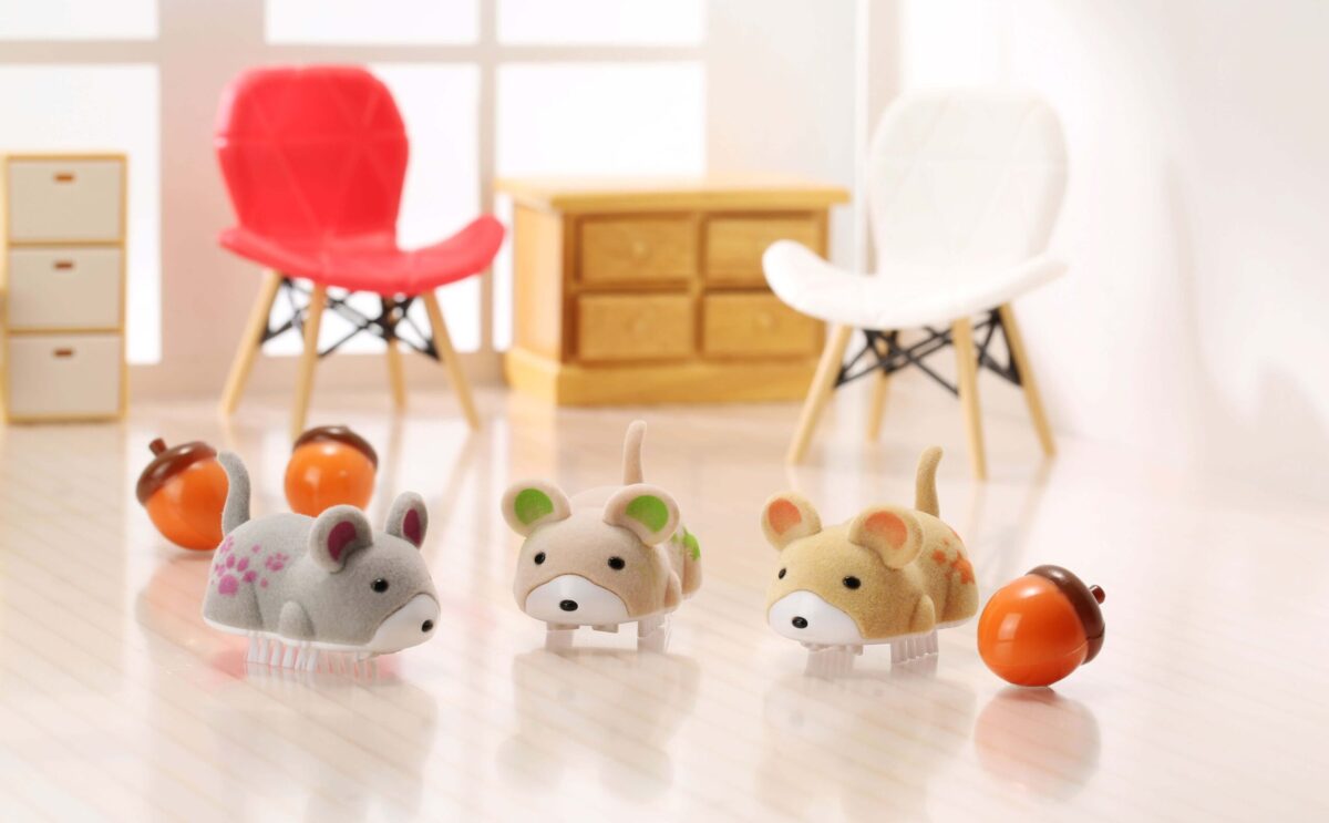 ロストアニマル 写真