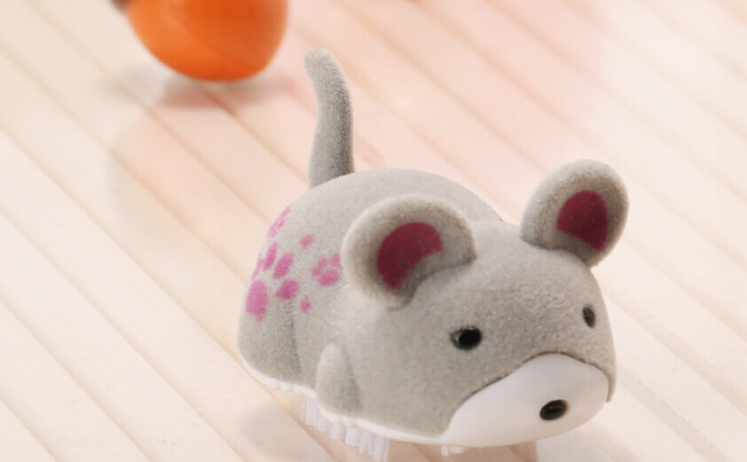 ロストアニマル シルバー写真